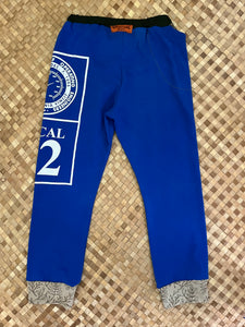 Kids Size 8 "Blue Local" Holoholo Pants