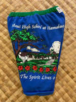 Load image into Gallery viewer, Kids Size 6 &quot;Blue &amp; Green Old Maui High&quot; Beach Comber Shorts
