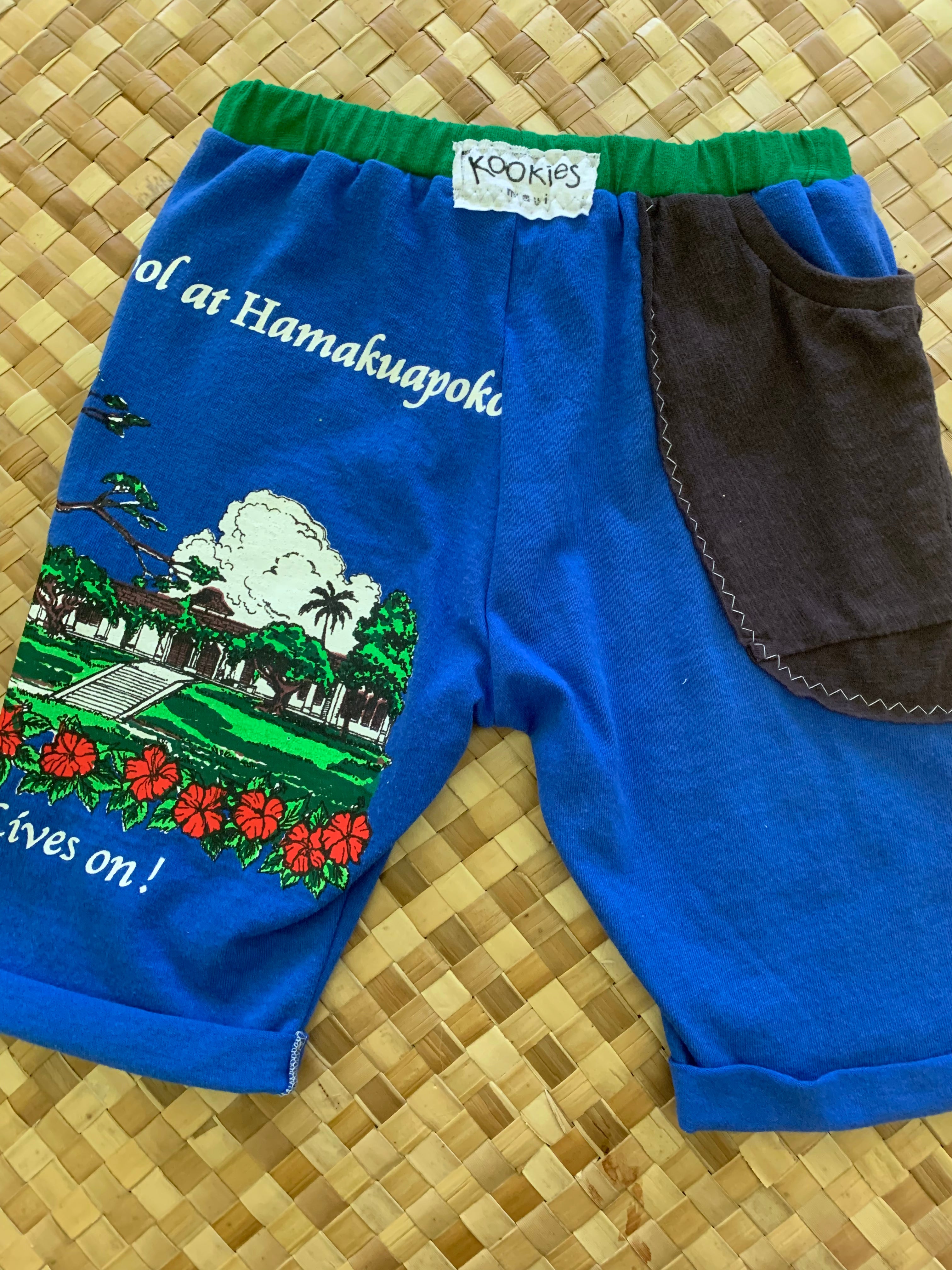 Kids Size 6 "Blue & Green Old Maui High" Beach Comber Shorts