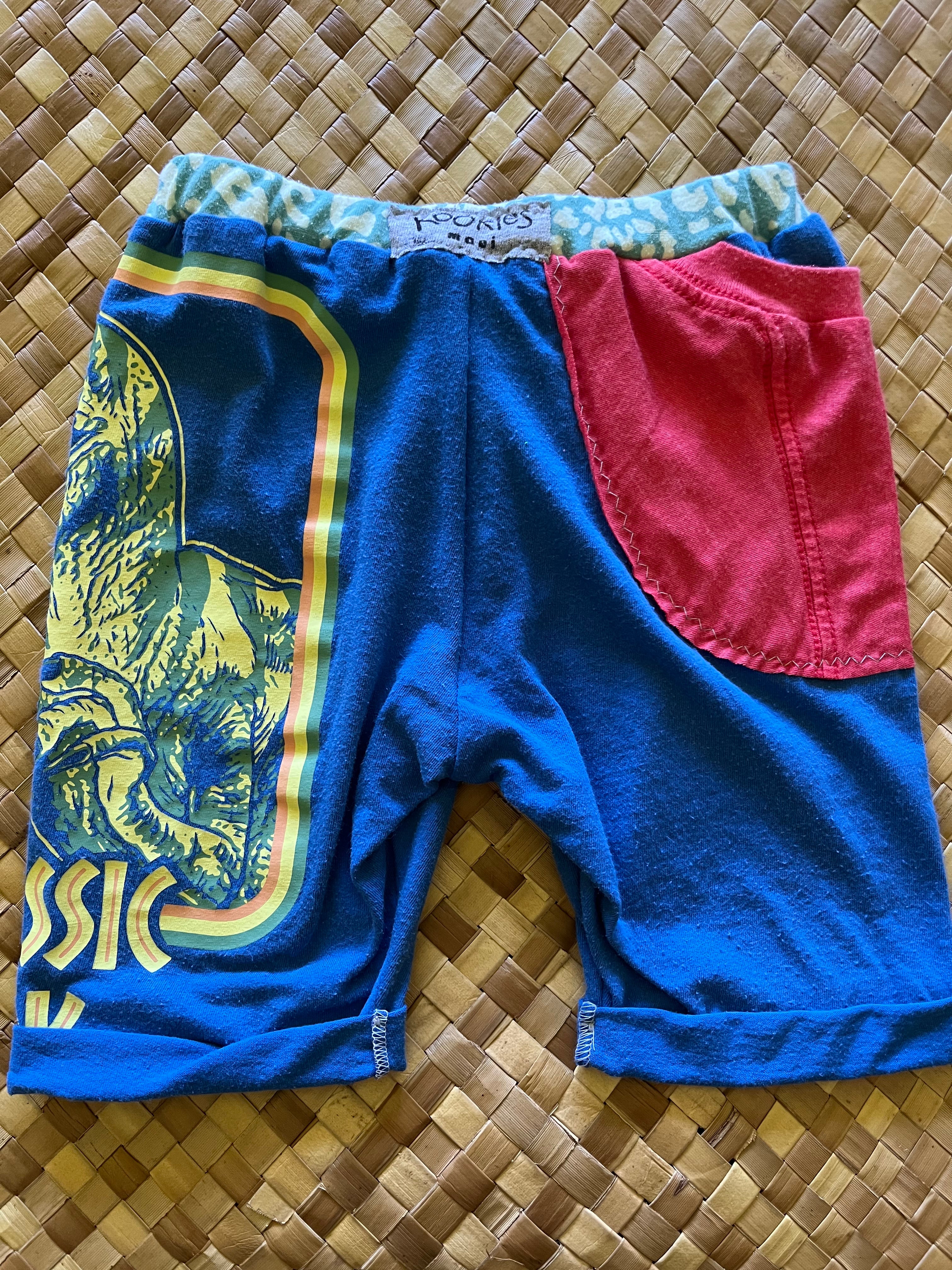 Kids Size 4 "Blue & Red Jurassic Park" Beach Comber Shorts