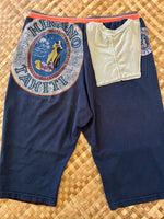 Load image into Gallery viewer, Mens Size L &quot;Blue &amp; Green Hinano Tahiti&quot; ʻOpihi Picker Shorts
