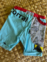 Load image into Gallery viewer, Kids Size 2 "Teal &amp; Black Kites" Beach Comber Shorts
