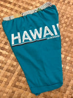 Load image into Gallery viewer, Kids Size 8 &quot;Teal &amp; Orange Hawaii&quot; Beach Comber Shorts
