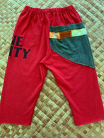 Load image into Gallery viewer, Kids Size 2 &quot;Red &amp; Green Palm Tree&quot; ʻOpihi Picker Pants
