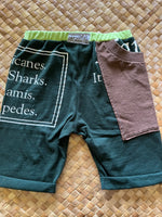 Load image into Gallery viewer, Kids Size 8 &quot;Green &amp; Brown Hawaii Hazards&quot; Beach Comber Shorts
