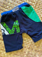 Load image into Gallery viewer, Kids Size 4 "Blue &amp; Green Seahawks" Beach Comber Shorts
